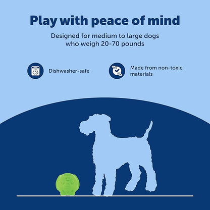 PetSafe Busy Buddy Elephunk Dog Chew Toy - Treat Dispenser - Medium/Large