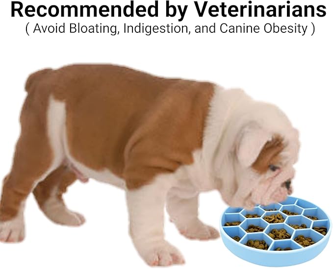 Mr. Peanut's Interactive Slow Feed Dog Bowl, Fun Healthy Bloat Stop Feeder (Medium)