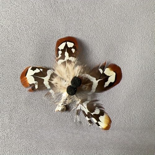 Cat Insect Feather Toy Wand Replacement,Cat Toys Feather Refills,Set of 6 Replacement Heads with Bells,Natural Feather Interactive Cat Toys (Style B) - Image 4