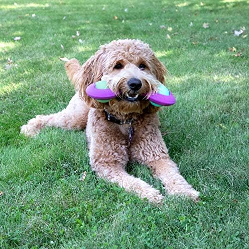Chew King Premium Throw Stick Dog Toy - Durable Natural Rubber Collection, Fetch and Tug Dog Toy, Pet Treat Toys for Boredom - Image 5