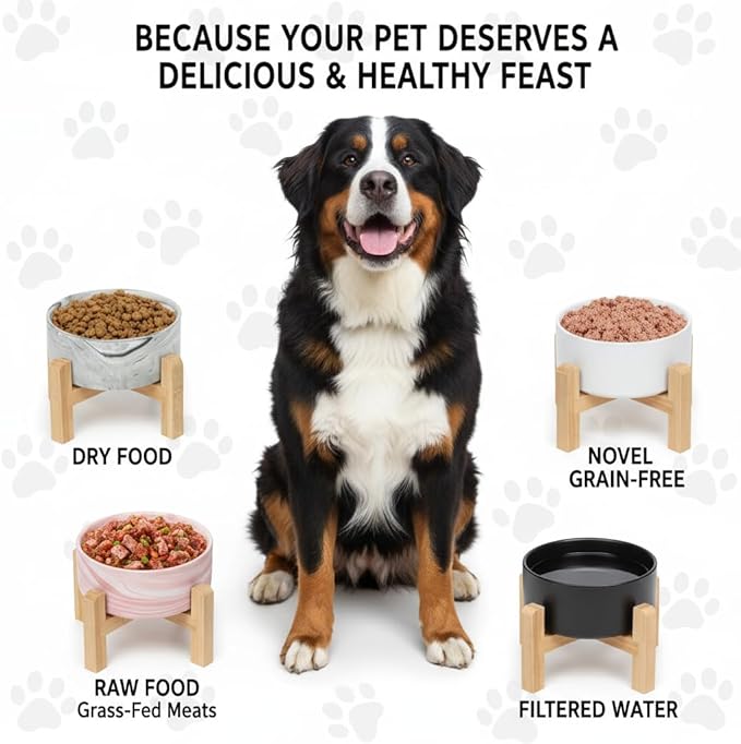 Elevated/Raised Ceramic Dog Bowl with Bamboo Stand,8 inch 7.6 Cups Non-Slip Heavy-Weighted Single Pet Dish,Reduces Neck Strain White