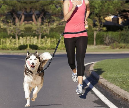 39.30Inch Bungee Dog Leash Waist,Hands Free Dog Leash Slip for Walking Hiking Running (Lumbar Waist Belt 26"-43")