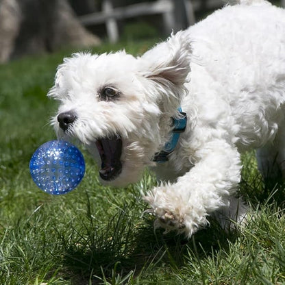 KONG Company 38749422: Squeezz Geodz Squeaker Ball Dog Toy, Lg