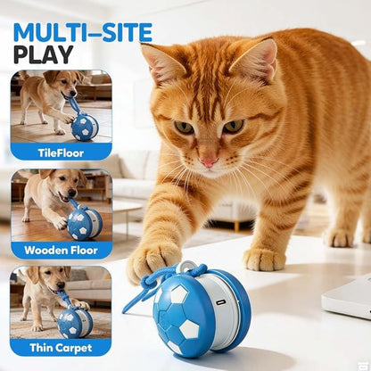 Interactive Dog Toys, 2026 Upgraded Motion-Activated Electric Automatic Rolling Ball with Rope, Random Path Movement, Rechargeable Boredom Relief Toy for Small Medium Large Dogs (Blue)