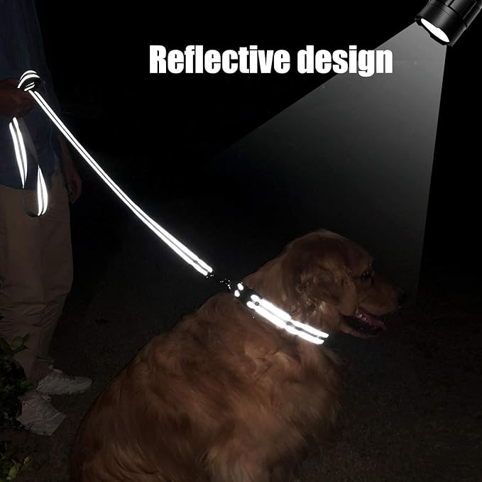 FunTags 6FT Reflective Dog Leash with Soft Padded Handle for Training,Walking Lead for Medium & Small Dogs,3/4 Inch Wide,Grey