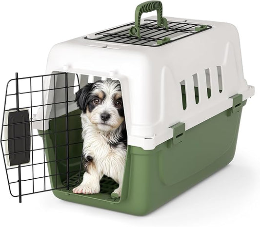 Magshion 18 Inch Pet Carrier Hard-Sided Dog Carrier with Top and Front Door Access, Plastic Dog Kennel for Longer Traveling, Durable Handle and 4 Sides Ventilation for Pet Up 10 lbs (White+Green)