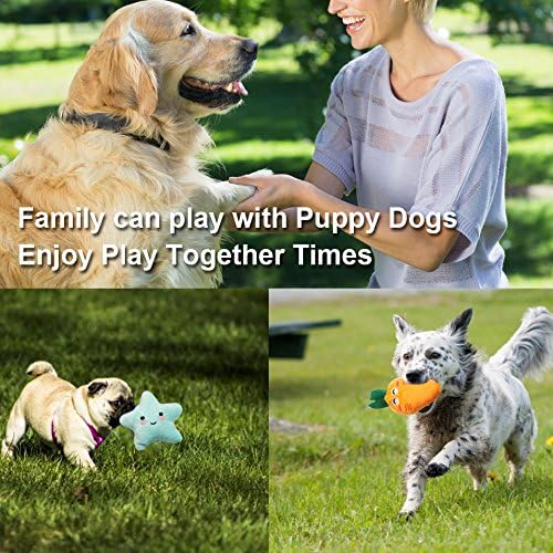 9 Pack Small Dogs Puppy Squeaky Dog Toys,Cute Variety Colors Designs to Bite Anytime, for Small Dogs
