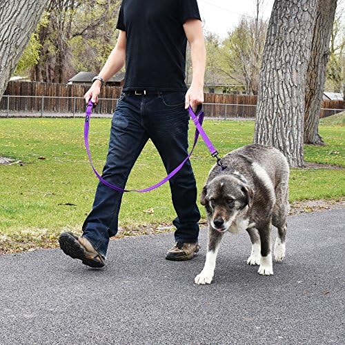 Wagtime Club Heavy Duty Double Handle Dog Leash for Large Medium Small Dogs - Image 5