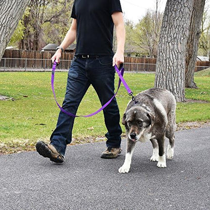 Wagtime Club Heavy Duty Double Handle Dog Leash for Large Medium Small Dogs - Image 5