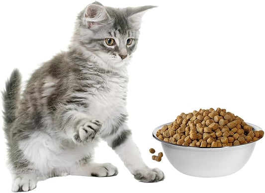 QWORK Stainless Steel Pet Feed Bowls, Set of 4 Metal Dog and Cat Bowl, 8 Inch Diameter, 47oz Capacity for Large Medium Small Dog