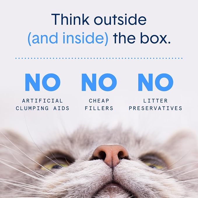 Boxie Unscented 30 Day Odor Control Clumping Clay Cat & Kitty Litter, 99.9% Dust-Free, Hard Flat Top Clumps, No Fragrances No Fillers, Long-Lasting, Easy to Scoop,16 lb (Pack of 2)