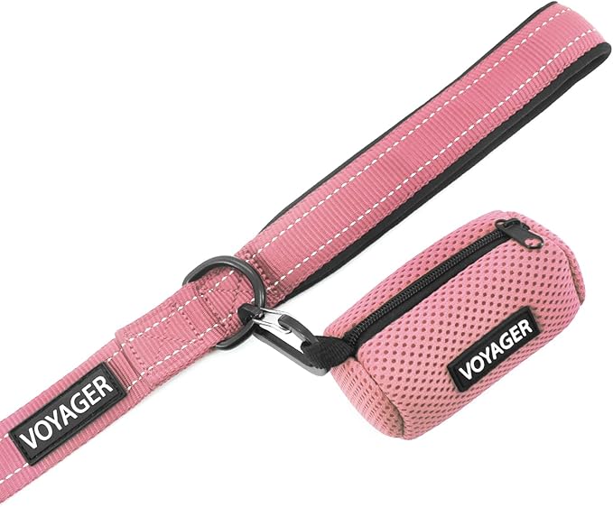 Best Pet Supplies Voyager Reflective Dog Leash or Collar with Neoprene Handle, for Small, Medium, and Large Breed Puppies, Cute and Heavy Duty for Walking, Running and Training - Pink (Leash), L