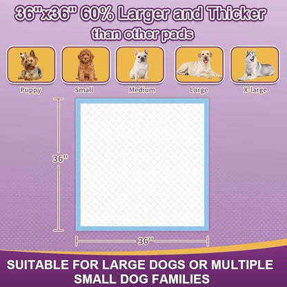 IMMCUTE Extra Large Dog Pee Pads 36"x36"-30 Count | XX-Large Puppy Pee Training Pads Super Absorbent & Leak-Proof | Disposable Pet Piddle and Potty Pads for Puppies | Dogs | Doggie| Cats | Rabbits