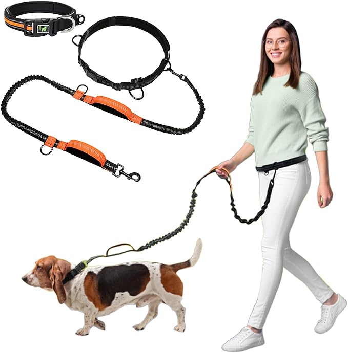 Hands Free Dog Leash - Dog Collar with Adjustable Waist Belt, 2 Bungees Shock Absorbing, Dual Handles for Walking Running Jogging, Reflective Knitted