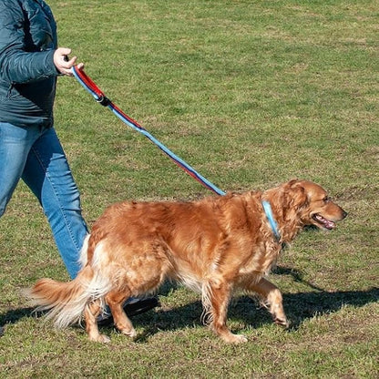 Furhaven Bungee Dog Leash w/ Quick Release Easy Tether - Classic Stripe, One Size