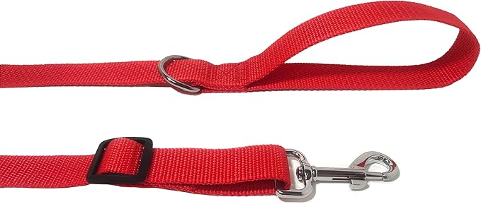TAIAN Adjustable Nylon Dog Leash, 6FT/10 FT Long Dog Leashes for Small Medium Large Dogs (1 in x 6 ft, Red)