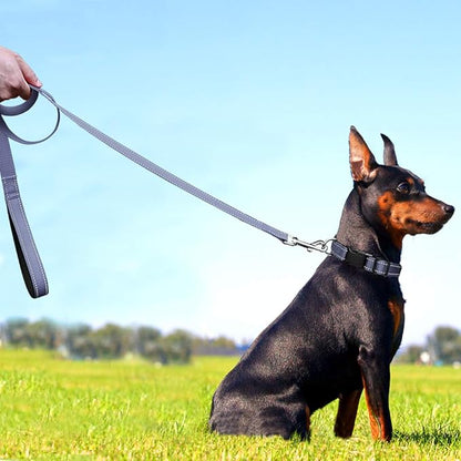 FunTags 6FT Reflective Dog Leash with Soft Padded Handle for Training,Walking Lead for Medium & Small Dogs,3/4 Inch Wide,Grey