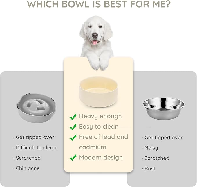 SPUNKYJUNKY 42OZ Ceramic Dog and Cat Bowl, Modern Cute Weighted Food Water Bowl for Replacement Beige (2 Pack)