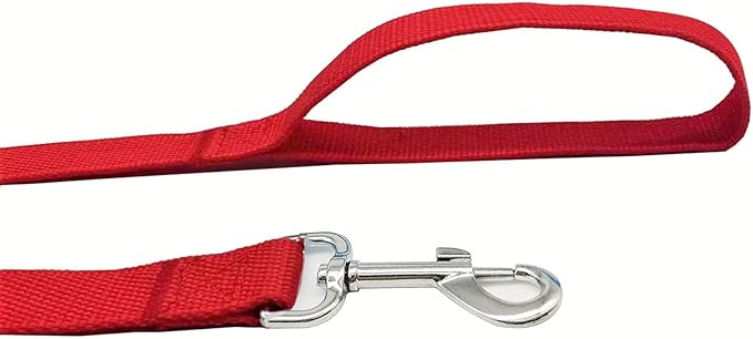 TAIAN 4FT/5FT/6FT Strong Dog Leash, Nylon Dog Leashes for Small Medium Large Dogs (1 in x 4 ft, Red)