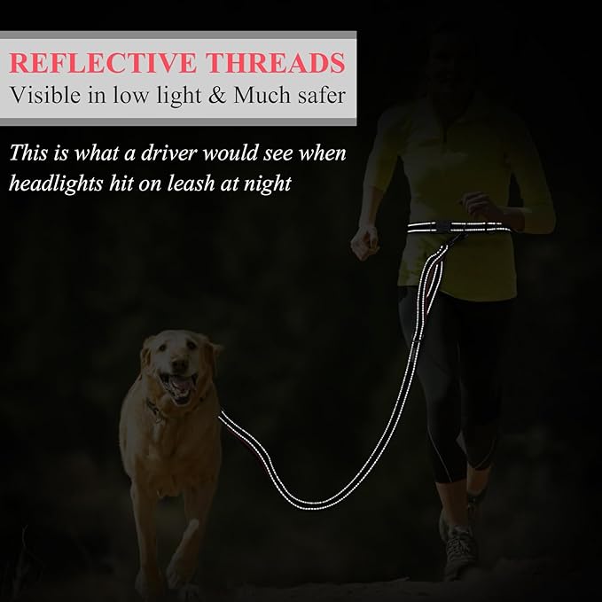 VIVAGLORY Hands Free Dog Leash Bungeeone Running Dog Leash with Waist Belt for Running Walking & Jogging, Bungee & Around Waist for Pet, S, Black/Red
