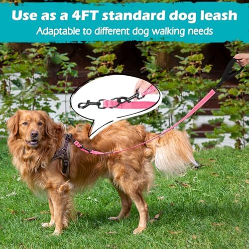 PetBonus Two Point Control Dog Leash, No Tangle Training Walking Leashes - Image 6