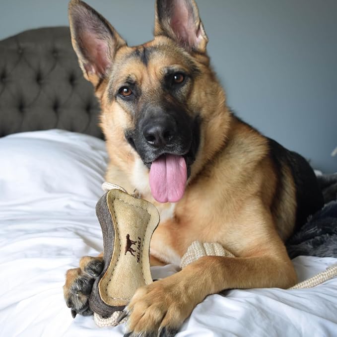 Tall Tails Dog Natural Leather Bone Rope Tug Toy for Dogs, 16 Inches