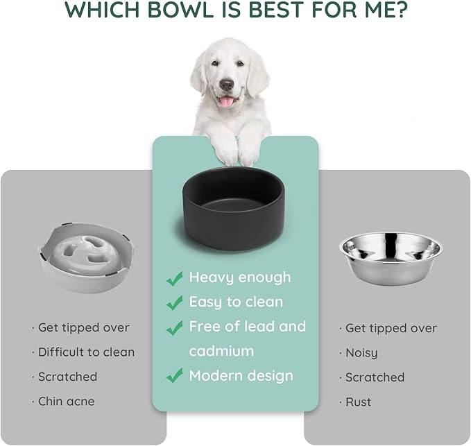 SPUNKYJUNKY 13.5OZ Ceramic Dog and Cat Bowl, Modern Cute Weighted Food Water Bowl for Replacement Black (2 Pack)