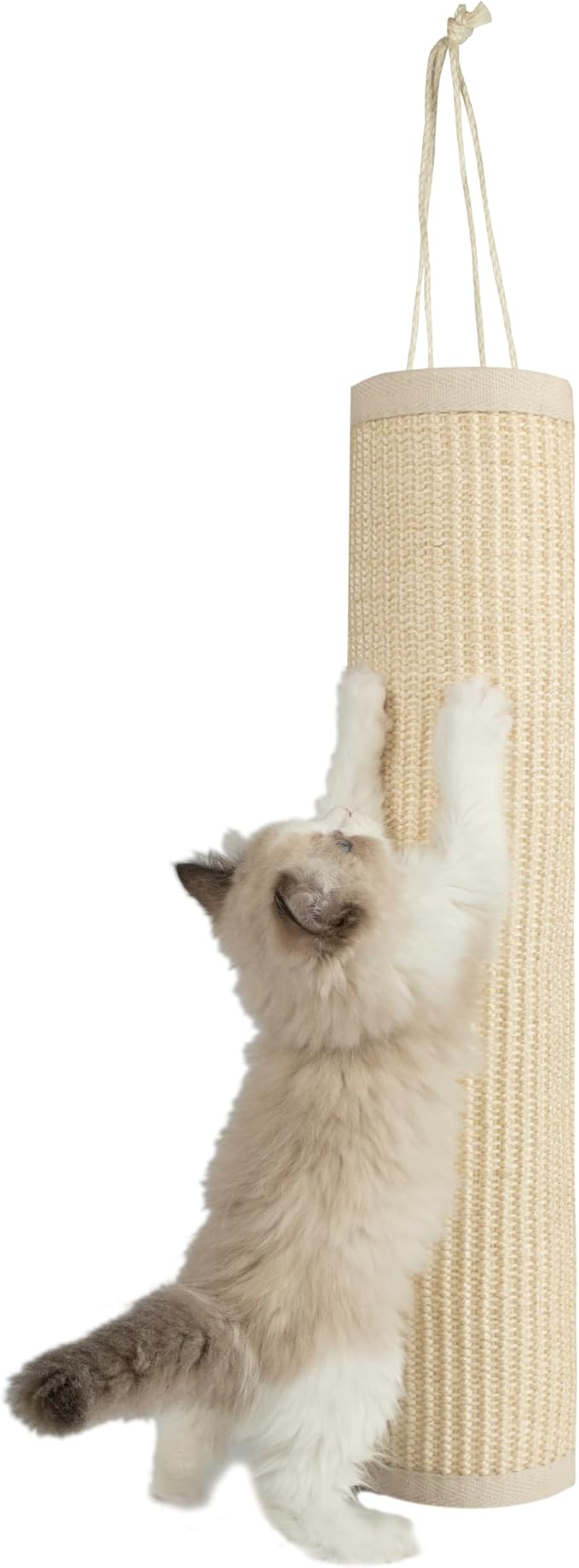 Best Pet Supplies Catify Cat Scratcher, Fun Interactive Scratchers, Posts, Poles, Claw Safe, Furniture Saver Indoor Play Support Natural Cat Behaviors Heavy Duty - Log (Cream), 22 x 17.28