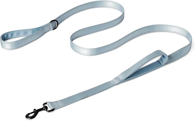 Amazon Basics Reflective Dog Leash with Dual-Padded Handles and D Ring, 4ft