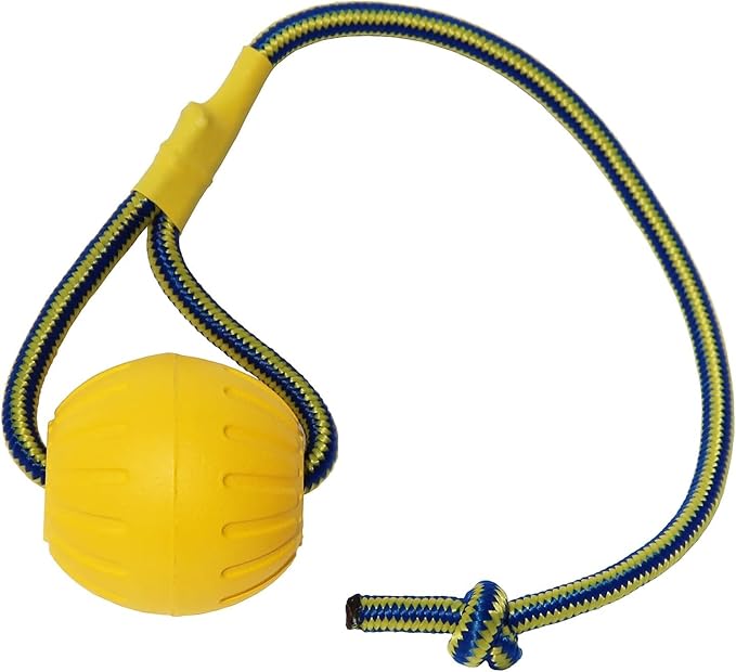 2 Pack Ball with Rope Dog Toy,Fling Dura Foam Toy,Dog Water Float Ball Rraining Boall on Rope (1 * 7cm/2.8"+1 * 9cm/3.5")