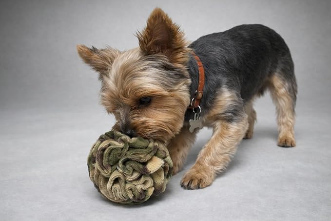 Glory To Dog Puppy and Small Breed Snuffle Interactive Foraging Dog Puzzle Ball Toy Camouflage
