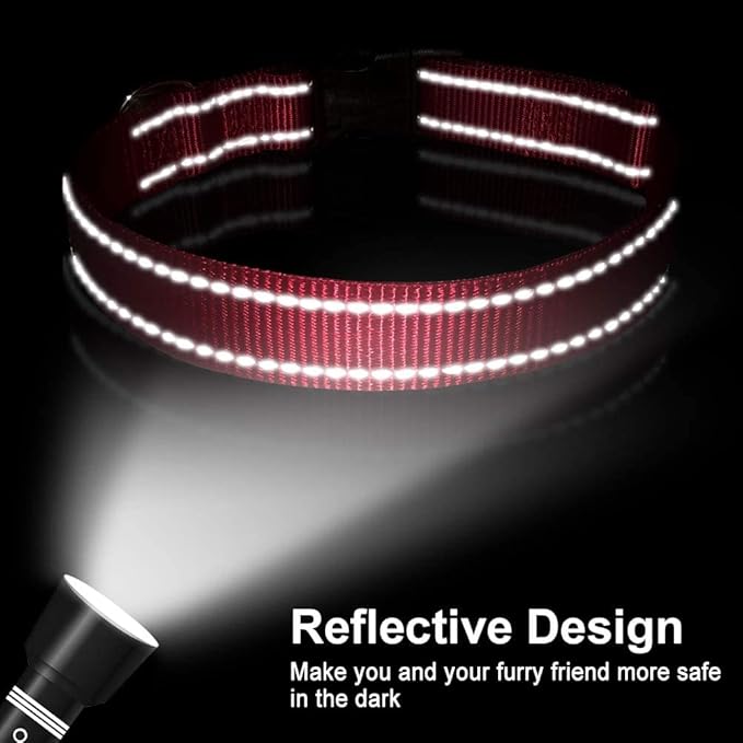 FunTags Reflective Dog Collar, Sturdy Nylon Collars for Puppy and Extra Small Girl and Boy Dogs, Adjustable Dog Collar with Quick Release Buckle,Red,5/8" Width