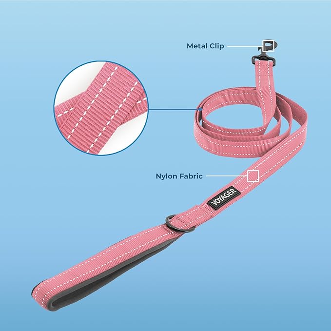Best Pet Supplies Voyager Reflective Dog Leash or Collar with Neoprene Handle, for Small, Medium, and Large Breed Puppies, Cute and Heavy Duty for Walking, Running and Training - Pink (Leash), L