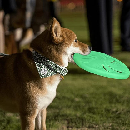 Glow-in-The-Dark Flying Discs, Interactive Dog Flyer Toys, Soft Lightweight Dog Catch and Fetch Toys, Floats in Water & Safe on Teeth, 9 inch (Large, Glow)