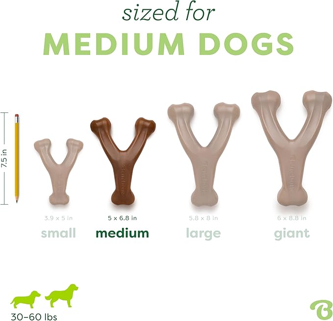 Benebone Peanut Butter Flavored Wishbone Chew Toy