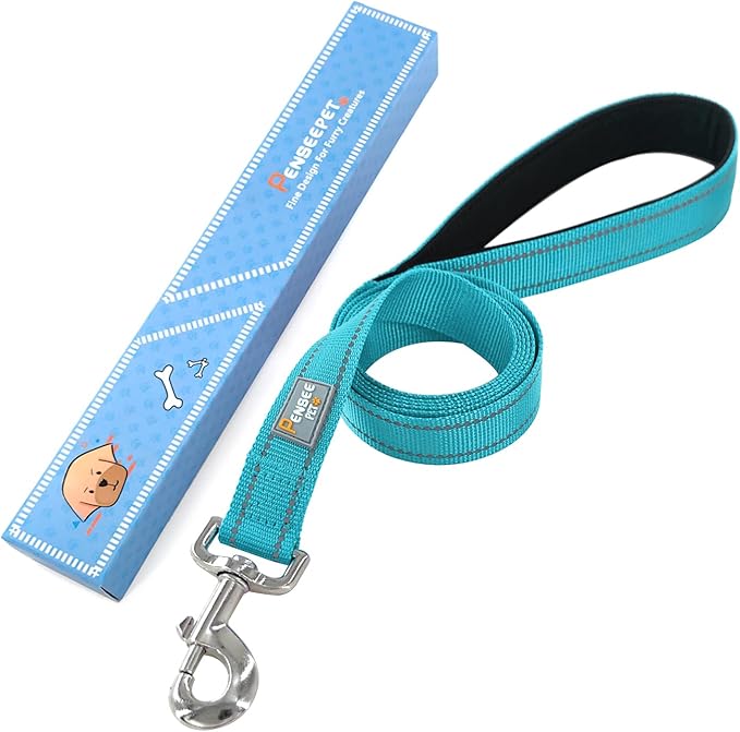 Dog Leash 6 FT Padded Handle Nylon Reflective Dogs Leashes for Medium Dogs Sky Blue