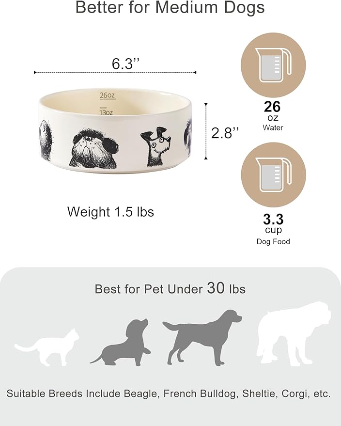 Ceramic Dog Bowl Set of 2 with Weighted Non-Slip Ring-3.3 Cups, Stoneware Food and Water Set, Pet Feeding, Microwave and Dishwasher Safe-Derpy-M 2pcs