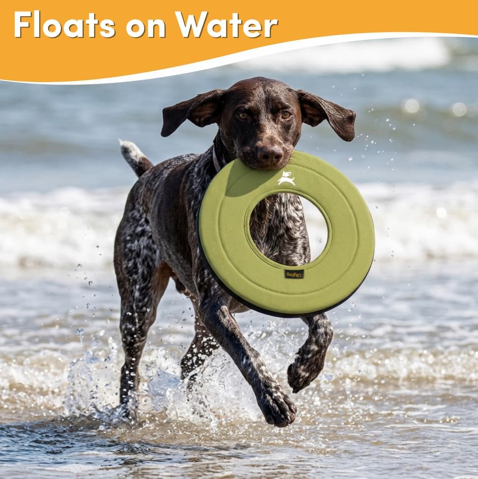 OllyDog Super Flyer Dog Flying Disc – Floating Fetch Toy for Water Play, Soft Eco-Friendly Recycled Fabric, Gentle on Teeth, 11" for Medium & Large Dogs (Alchemy, 11") - Image 2