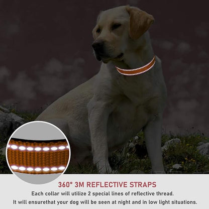 Reflective Dog Collar with Buckle Adjustable Safety Nylon Collars for Small Medium Large Dogs, Orange XS