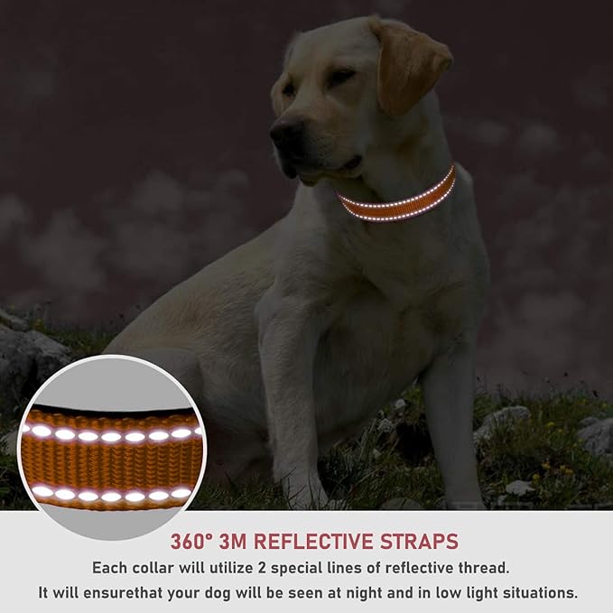 Reflective Dog Collar with Buckle Adjustable Safety Nylon Collars for Small Medium Large Dogs, Orange L