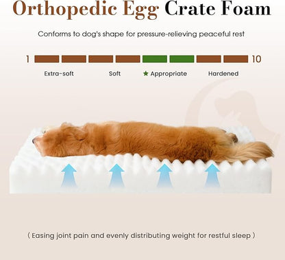 Orthopedic Dog Bed Medium Size Dog, Pet Beds with Waterproof Lining, Soft Short Plush Surface & Egg Crate Foam, Machine Washable Pet Mat with Removable Cover & Anti Slip Bottom