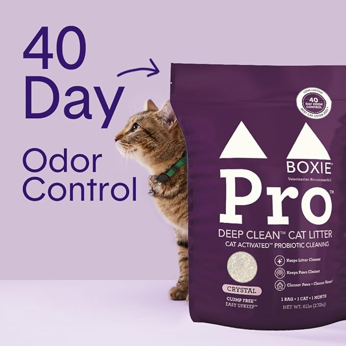 Boxie Probiotic Cat Litter, 40-Day Odor Control, Non-Clumping, Dust-Free, Crystal, 6lb, Multi-Cat