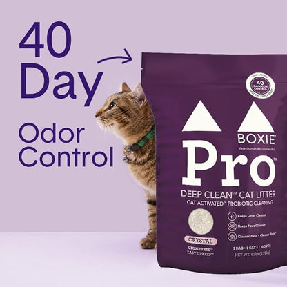 Boxie Probiotic Cat Litter, 40-Day Odor Control, Non-Clumping, Dust-Free, Crystal, 6lb, Multi-Cat