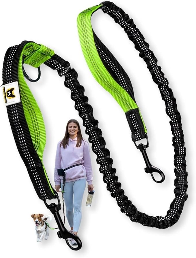 Hundefreund Hands-Free Dog Leash Replacement Bungee (43–63”) – Extension for Small Dogs – Shock-Absorbing with Dual Handles & Reflective Stitching (Green)