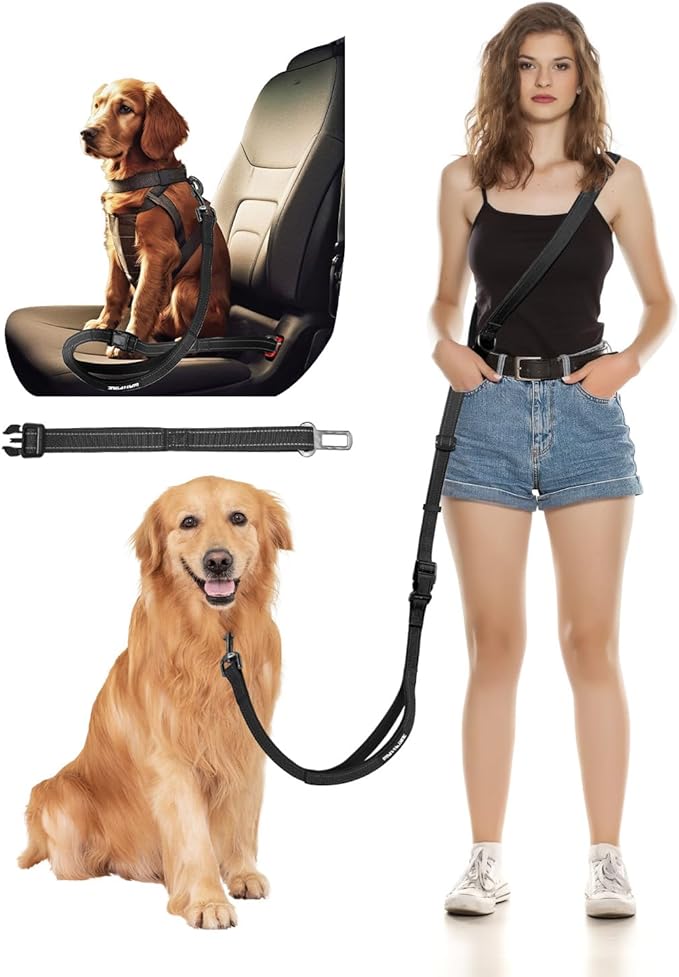 Hands Free Dog Leash, 2-in-1 Detachable Pet Seatbelt,5.9-9.2 ft Crossbody Dog Leash with Double-Sided Reflective for Walking, Hiking, Travel etc (Black)