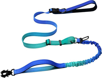 Heavy Duty Hands Free Dog Leash with Quick Release Carabiner and Adjustable No Pull Bungee Dog Running Waist Leash，for Walking and Training with Car Seat Belt 4-6FT (Aquamarine)