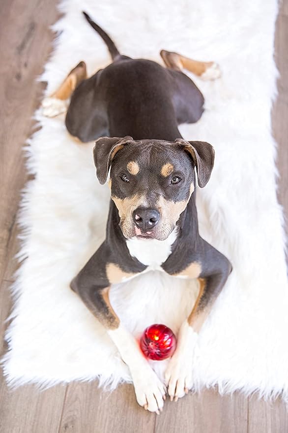 Pet Qwerks Blinky Babble Ball - Flashing Interactive Dog Toy - Large