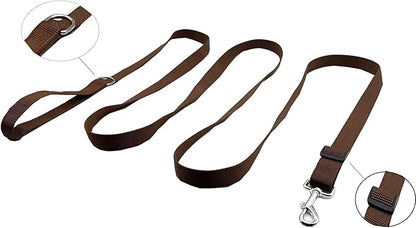 TAIAN Adjustable Nylon Dog Leash, 6FT/10 FT Long Dog Leashes for Small Medium Large Dogs (1 in x 10 ft, Brown)