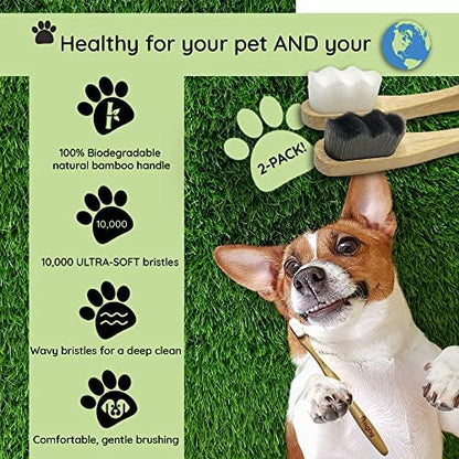 Dog Toothbrush- 10,000 Ultra-Soft Bristles for Sensitive Pet Teeth & Gums- Natural Bamboo Toothbrush for Comfortable, Gentle Deep Cleaning - Image 4