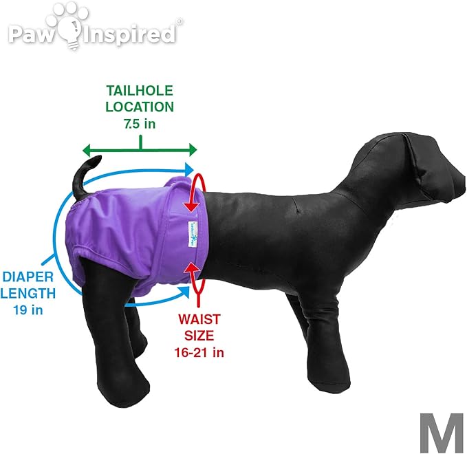 Paw Inspired Reusable Washable Dog Diapers (Pack of 3) in Assorted Colors with White Lining and Dog Diaper Suspenders in Black Combo Pack (Medium)